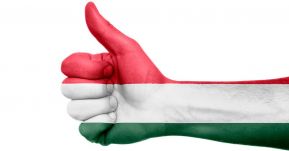 Intraetnikus dinamika 